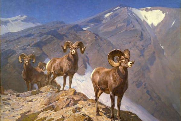 Master of the Wild: 8 Fascinating Revelations about Carl Rungius’s Journey in Wildlife Art and Conservation
