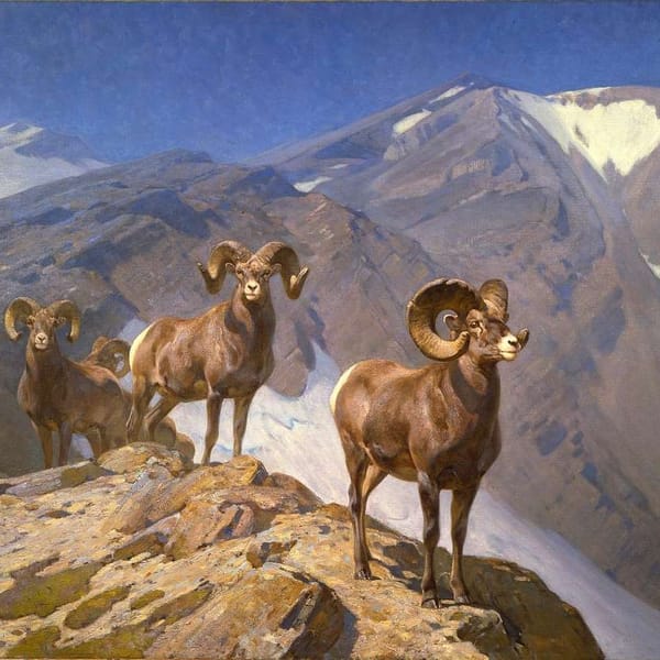 Master of the Wild: 8 Fascinating Revelations about Carl Rungius’s Journey in Wildlife Art and Conservation