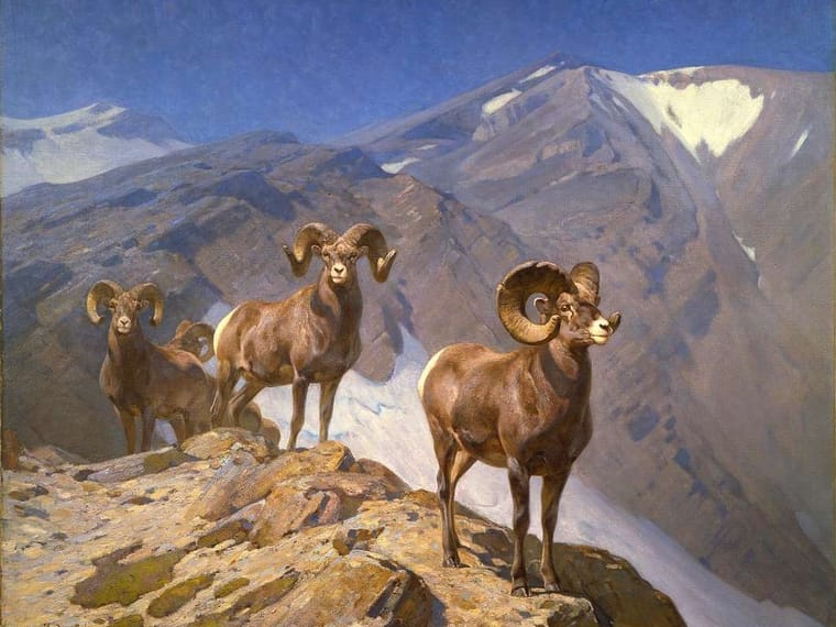 Master of the Wild: 8 Fascinating Revelations about Carl Rungius’s Journey in Wildlife Art and Conservation