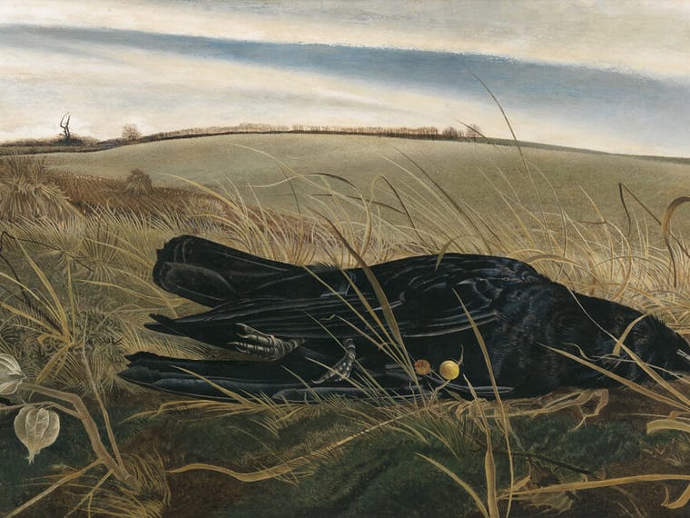 Andrew Wyeth Painter: A Master of American Realism