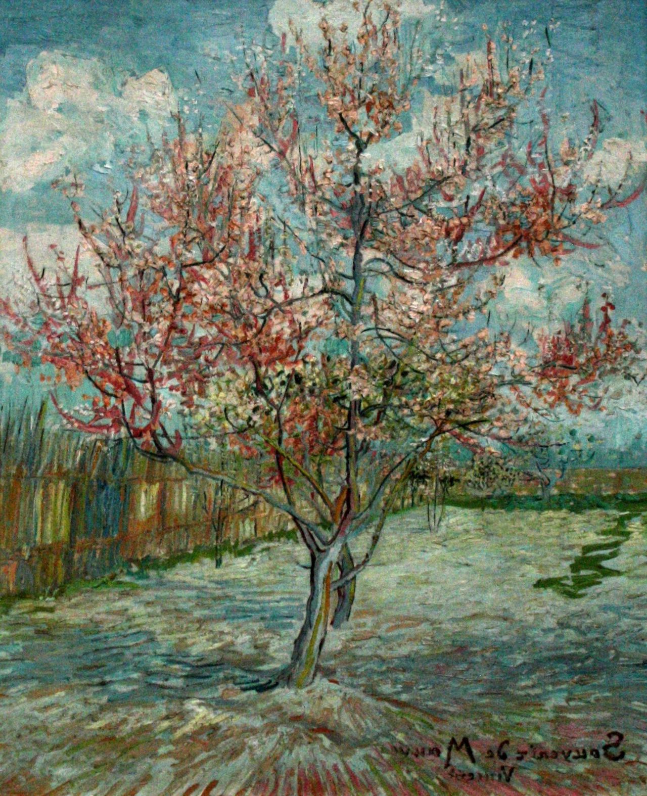 Vincent van Gogh's 'Pink Peach Trees - Souvenir de Mauve', honoring Anton Mauve's Dutch Realism with bright hues and dynamic Hague School-inspired brushwork.