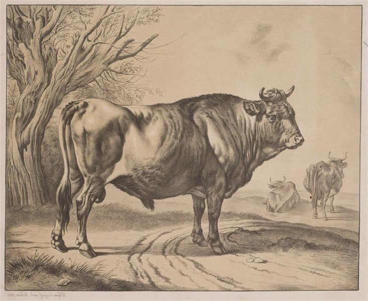 Breeding Bull (after Johann Adam Klein), is a notable example of early 19th-century animal portraiture.