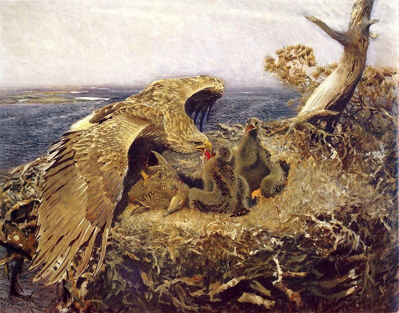 Sea Eagle's Nest, 1907 reflects the artist's deep appreciation for wildlife and his ability to capture the essence of nature's raw beauty.