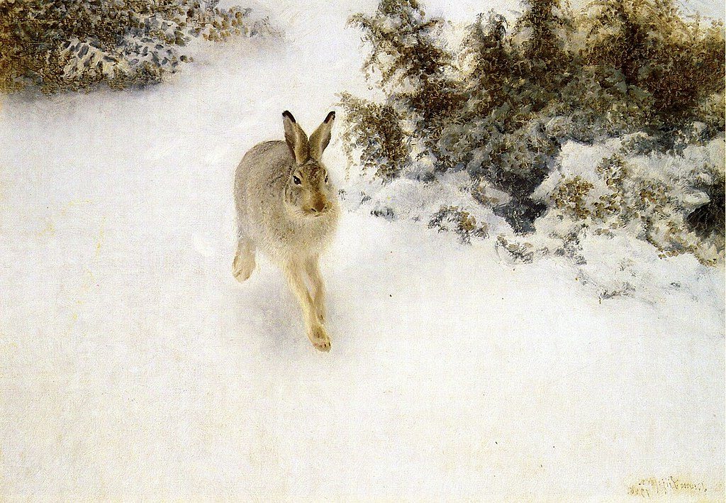 Winter Hare, 1908 by Bruno Liljefors reflects the serene and silent beauty of nature.