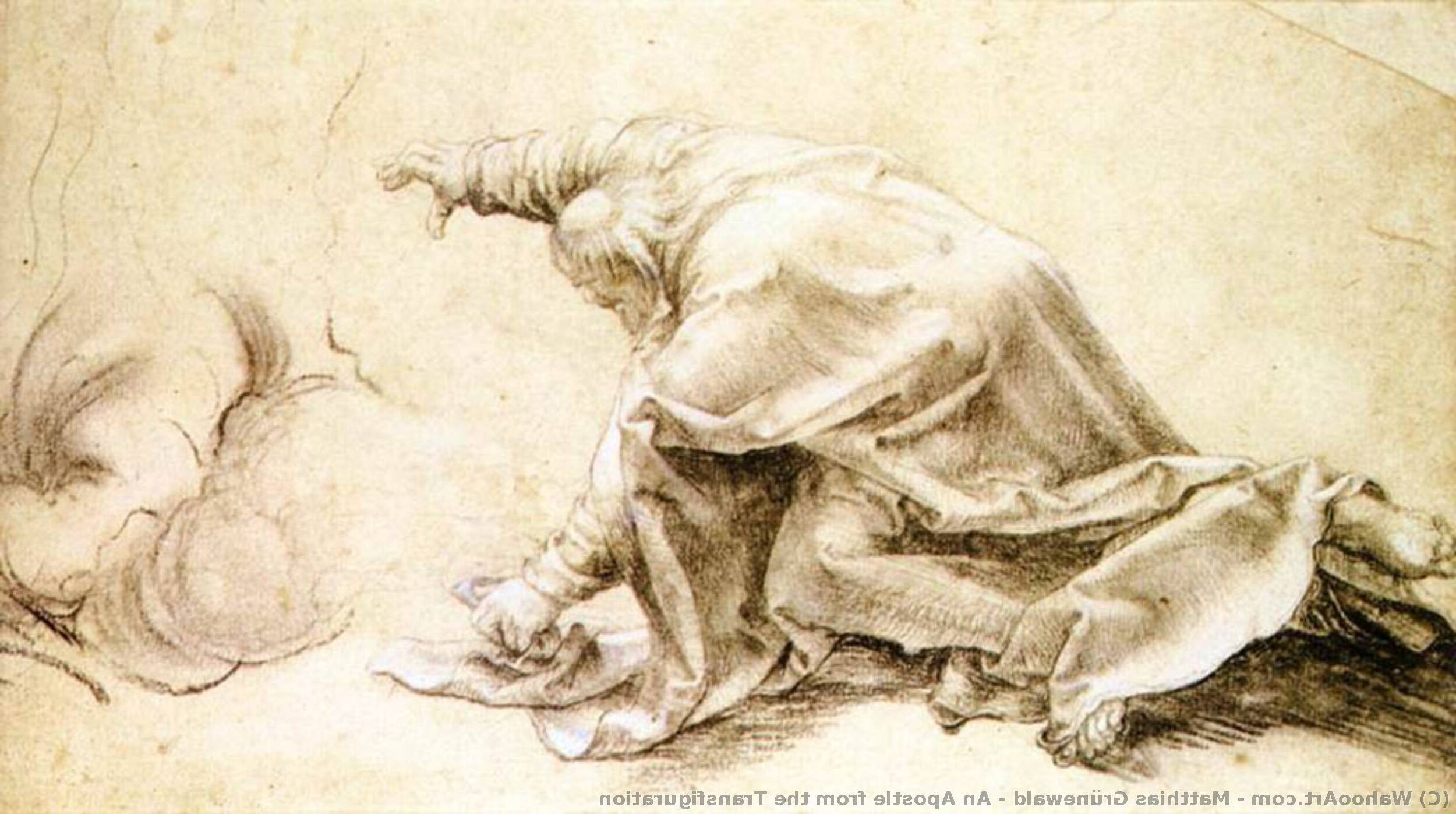 An Apostle from the Transfiguration, c.1511 by Matthias Grünewald