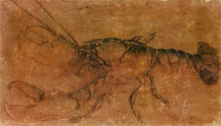 A Lobster (1495) by Albrecht Dürer  reflects themes of natural observation and scientific curiosity. 