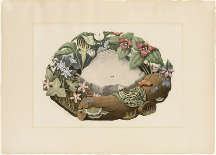 Wild Flowers (1939) reflects a carefully arranged bouquet of native Midwestern wildflowers in a precise and stylized manner
