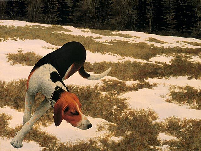 Hound in Field (1958) by Alex Colville reflects a dynamic portrait of a dog in motion, rendered in extreme detail