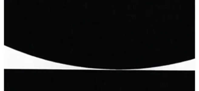 Kiss (1961) reflects a bold interplay of black and white geometric forms