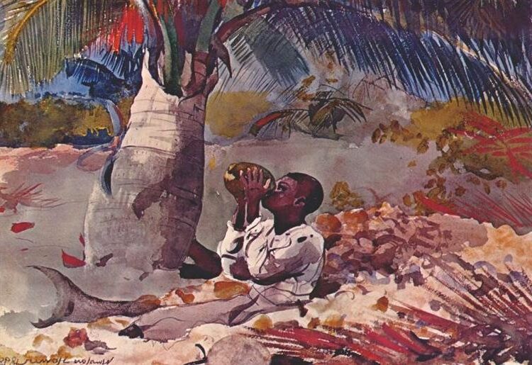 Under the Coco Palm, 1898 by Winslow Homer reflects a tranquil and sunlit tropical scene.